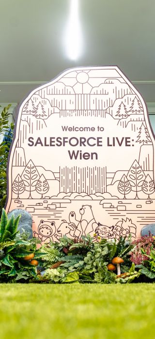 Salesforce Live Vienna