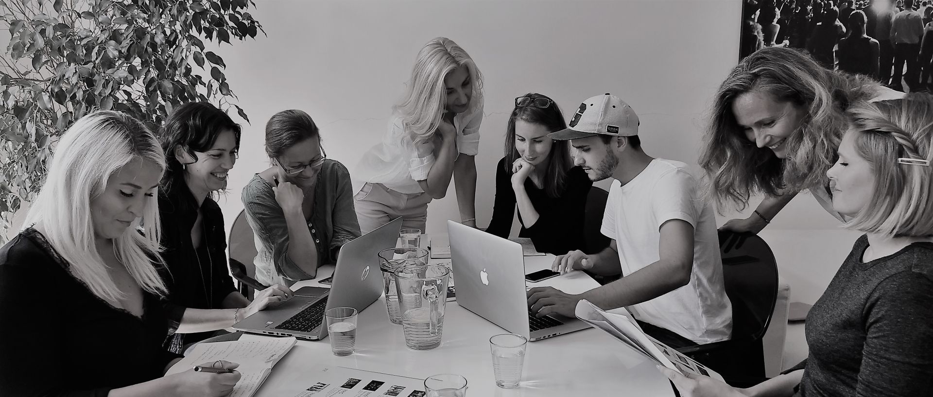 Meet our team